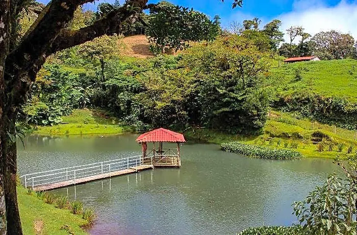 Hotel Burbi Monteverde GUANACASTE