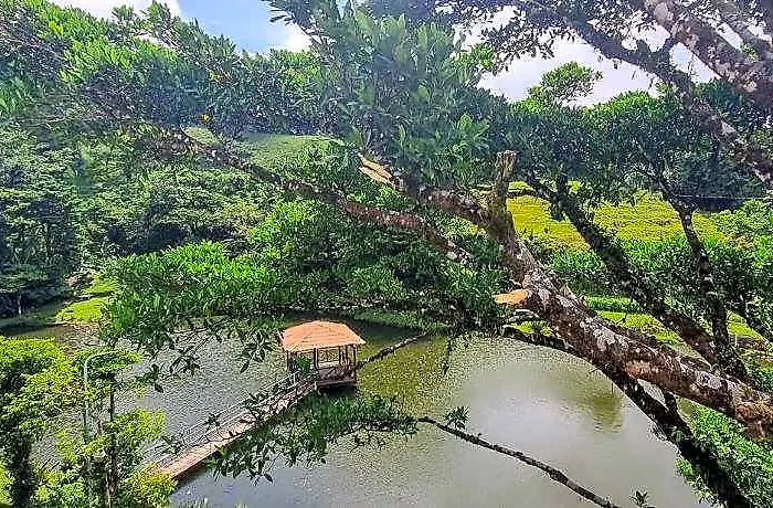 Burbi Monteverde Hotel GUANACASTE