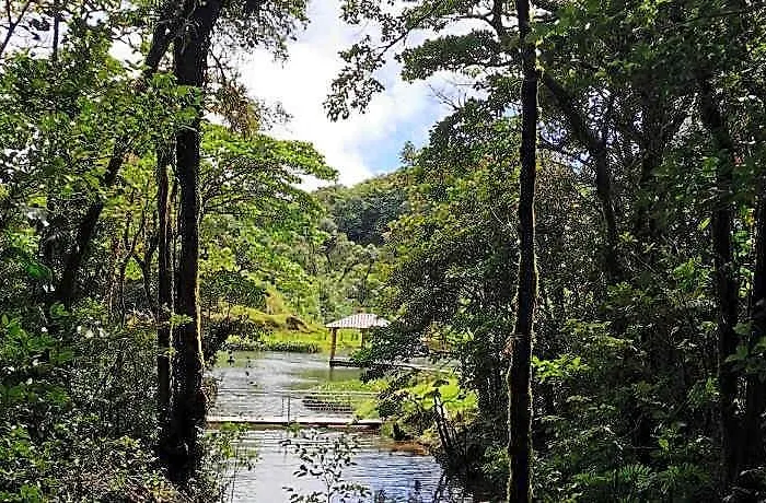 Hotel Burbi Monteverde GUANACASTE